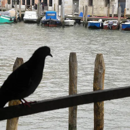 La Felice Canal Grande * ונציה